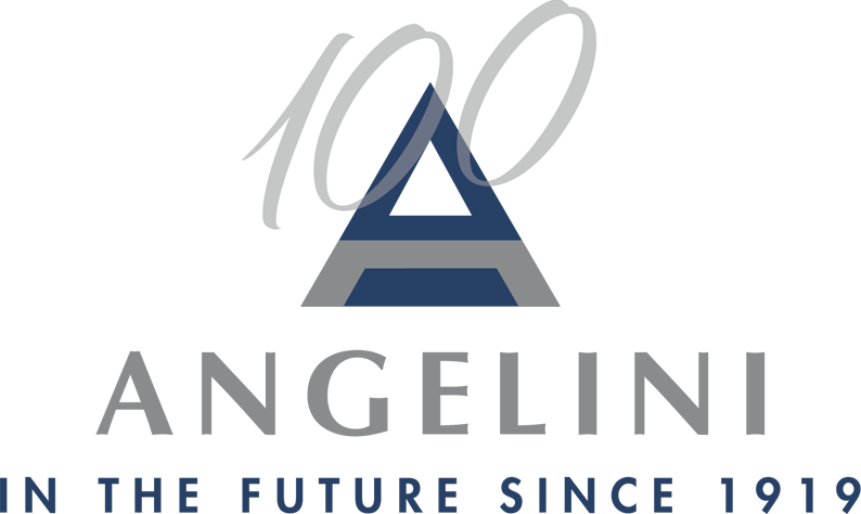 Logo Dedicated to the Centenary
