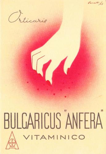 Bulgaricus-Anfera